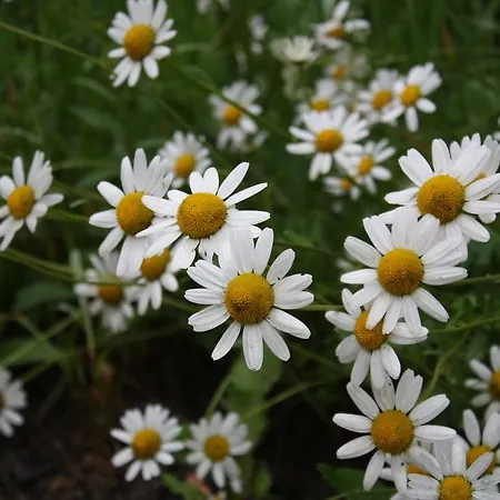 Koliba U Kuba A Rekreacne Hrustin